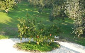 B&B Finestre Tra Gli Ulivi